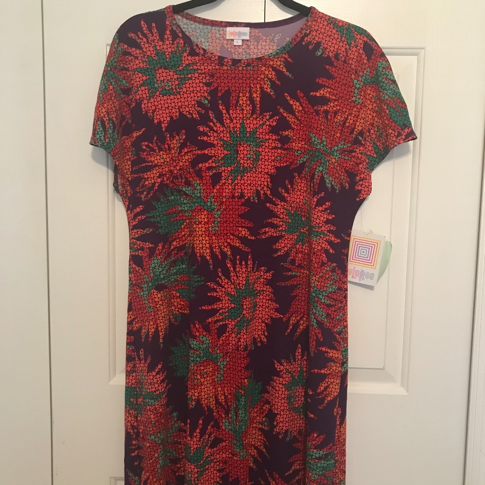 LuLaRoe Maria dress